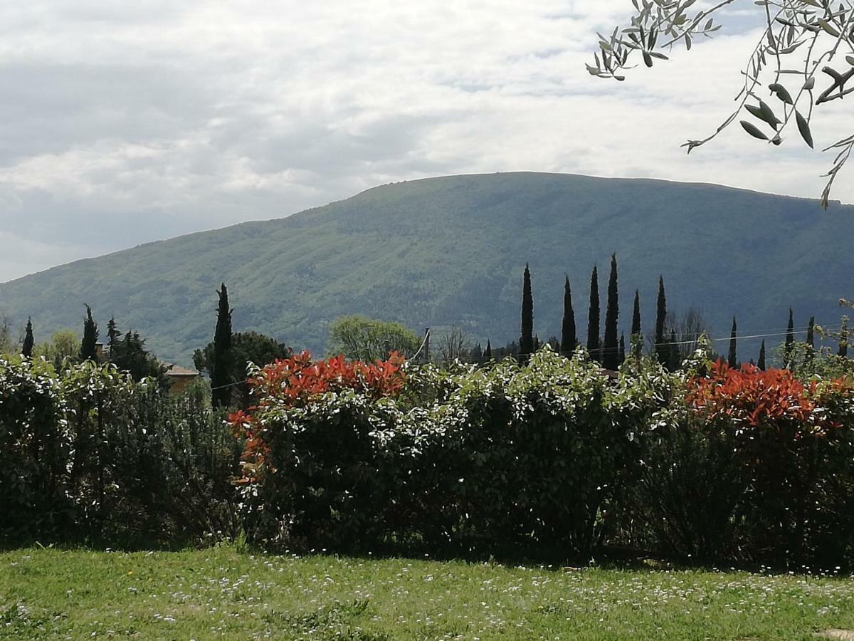 Colleparadiso Hotell Assisi Eksteriør bilde
